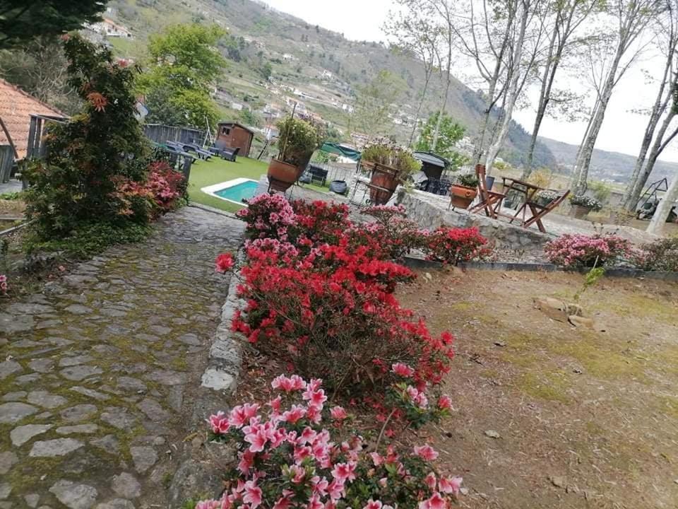 Santa Marinha do Zêzere Quinta Da Cartida 빌라 외부 사진