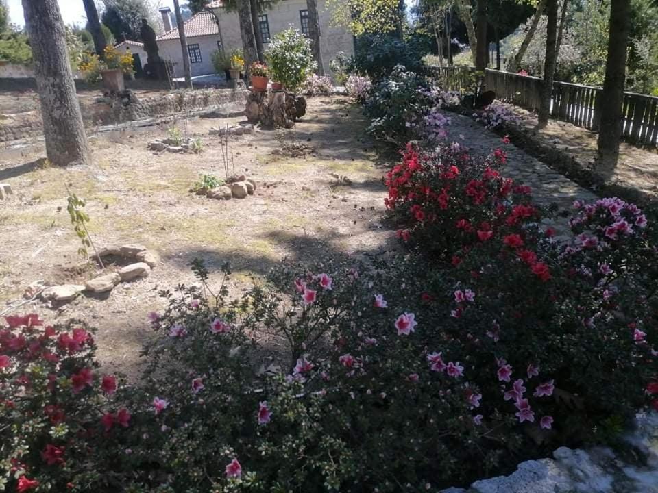 Santa Marinha do Zêzere Quinta Da Cartida 빌라 외부 사진