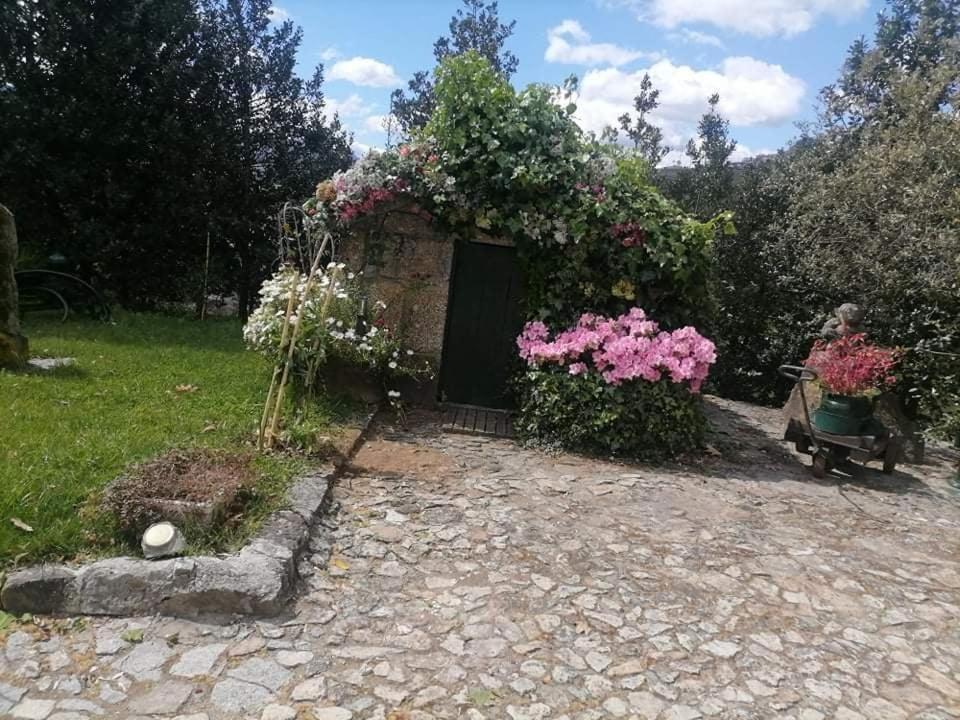 Santa Marinha do Zêzere Quinta Da Cartida 빌라 외부 사진