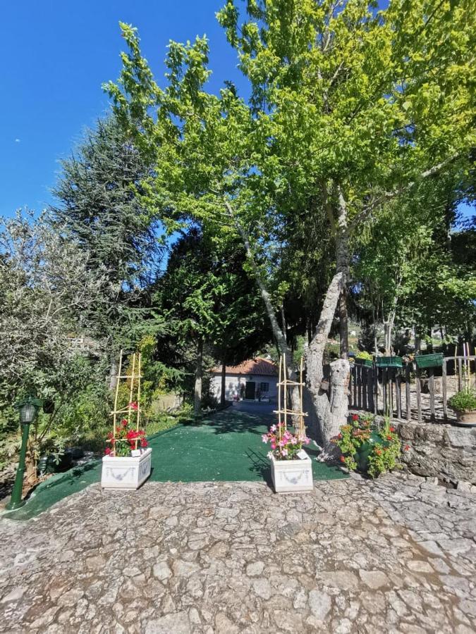 Santa Marinha do Zêzere Quinta Da Cartida 빌라 외부 사진