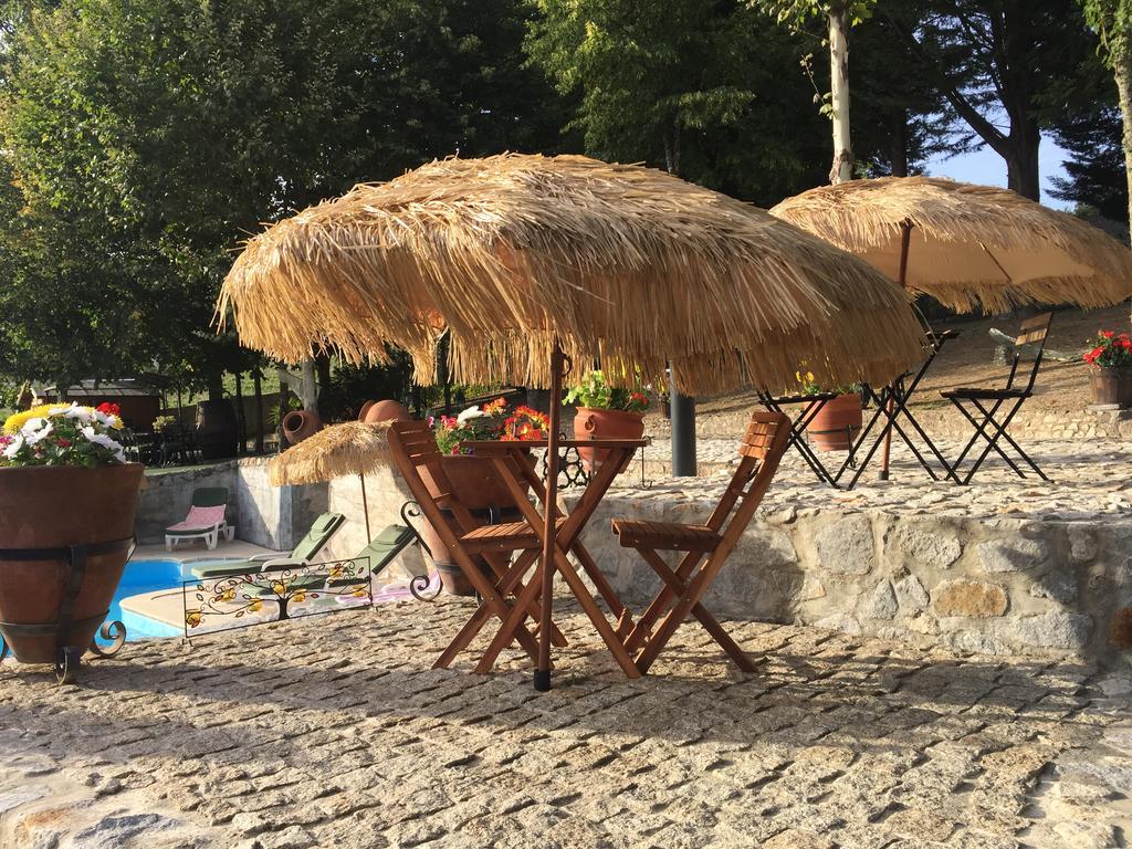 Santa Marinha do Zêzere Quinta Da Cartida 빌라 외부 사진