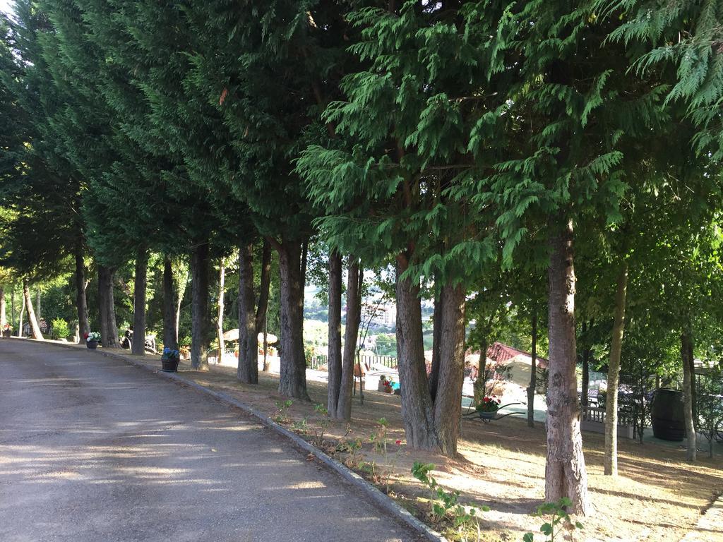 Santa Marinha do Zêzere Quinta Da Cartida 빌라 외부 사진