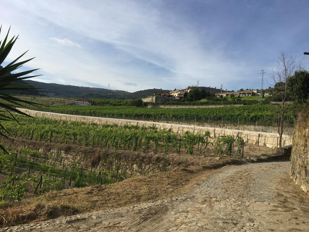 Santa Marinha do Zêzere Quinta Da Cartida 빌라 외부 사진